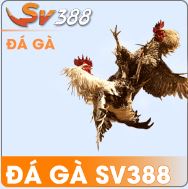 daga-sv388